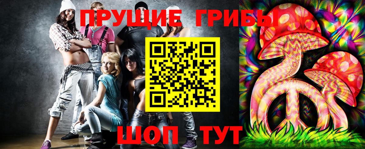 Тамбов  Псилоцибиновые грибы MAGIC MUSHROOMS  Вход с VPN 